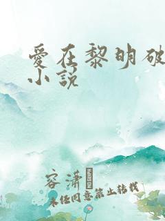 爱在黎明破晓前小说
