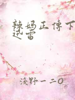 辣妈正传下载 迅雷