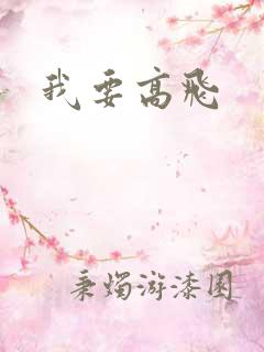 我要高飞