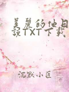 美丽的他日剧小说TXT下载