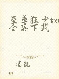 至尊狂少txt全集下载