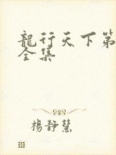 龙行天下第二部全集