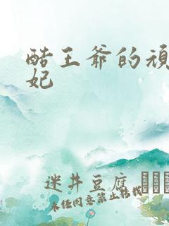 酷王爷的顽皮王妃