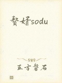 赘婿sodu
