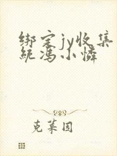 绑定jy收集系统冯小怜