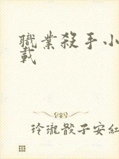 职业杀手小说下载