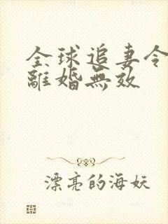 全球追妻令老婆离婚无效