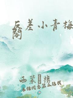 反差小青梅笔趣阁