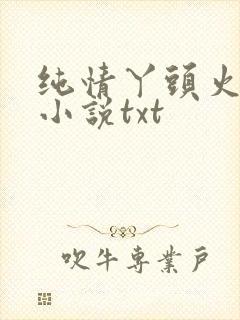 纯情丫头火辣辣小说txt
