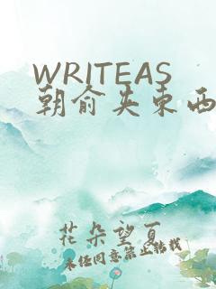 WRITEAS朝俞夹东西