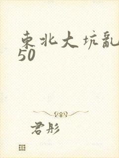 东北大坑乱1—50