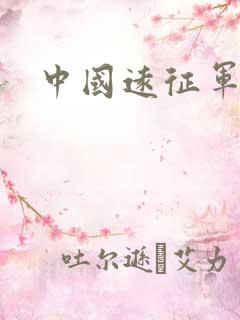 中国远征军小说