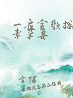 一夜贪欢总裁的幸孕妻