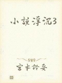 小说浮沉3