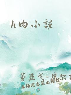 h肉小说
