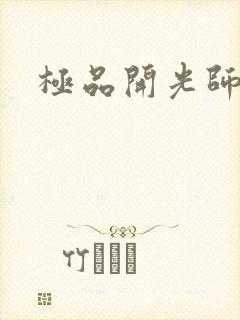 极品开光师阅读