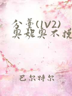 分羹(1V2)奥妮奥不摸鱼