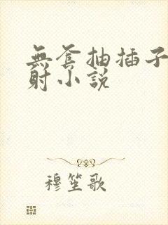 无套抽插子宫内射小说