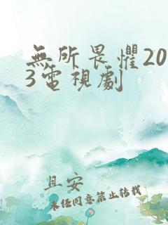 无所畏惧2023电视剧