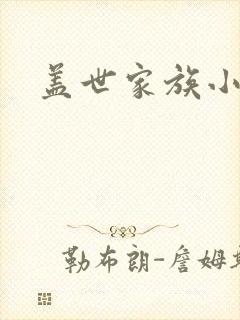 盖世家族小说