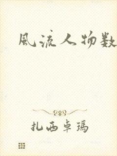 风流人物数当代