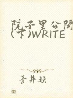 院子里公开惩戒(下)WRITE