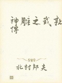 神雕之武敦儒大传