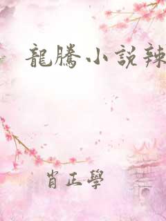 龙腾小说辣文网