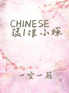 CHINESE猛1浪小辉