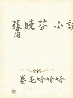 张晓芬 小说主角