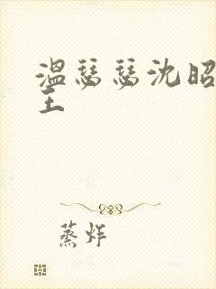 温瑟瑟沈昭摄政王