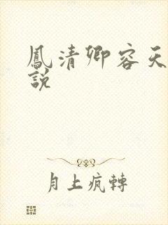 凤清卿容天凌小说
