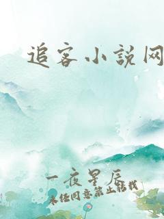追客小说网