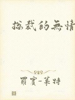 总裁的无情游戏