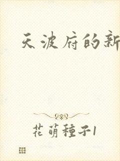 天波府的新姑爷