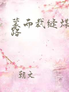 蒙面裁缝煤矿之路