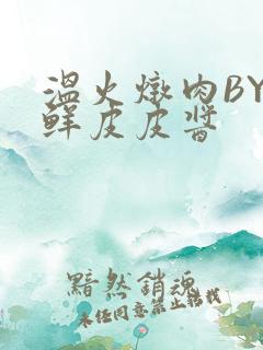 温火炖肉BY海鲜皮皮酱