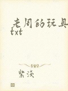 老周的玩具日记txt