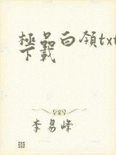 极品白领txt下载