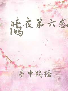 暗夜第六感是bl吗