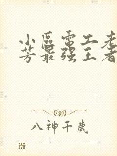 小区电工老周刘芳最强王者