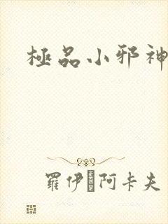 极品小邪神