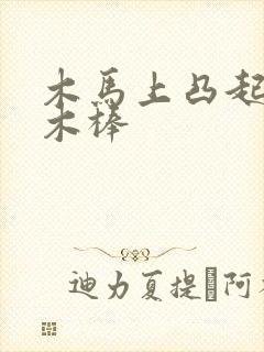 木马上凸起电动木棒