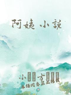 阿姨 小说