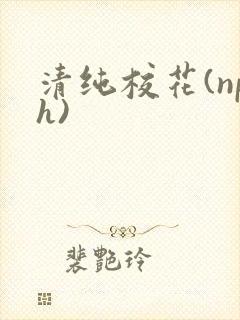 清纯校花(nph)