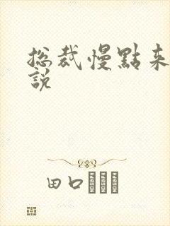 总裁慢点来 小说