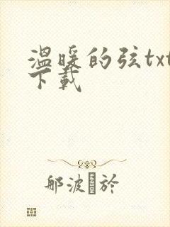 温暖的弦txt下载