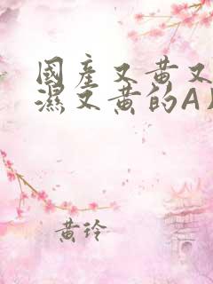 国产又黄又硬又湿又黄的A片小说