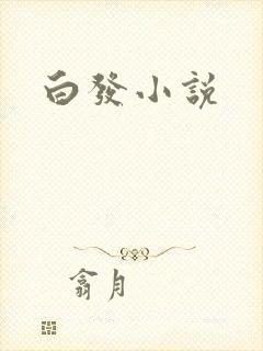 白发小说