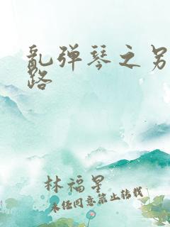 乱弹琴之另一条路